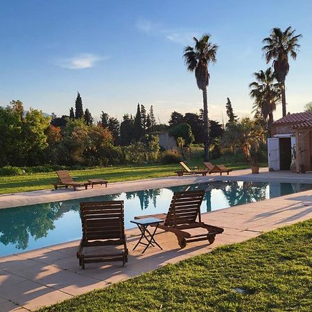 "Mas Tramontane "Chambres D'Hotes Et Studio Avec Piscine Dans Parc Arbore Ille-sur-Têt Exteriör bild