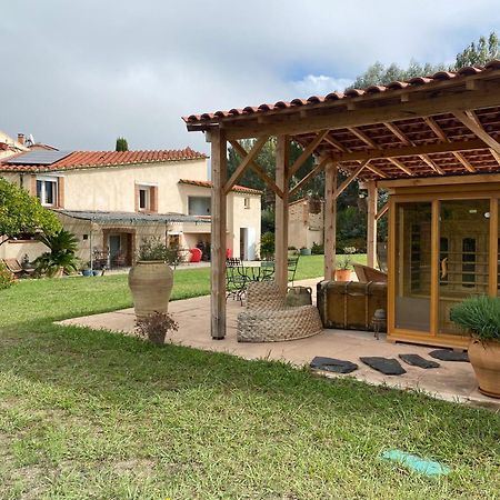 "Mas Tramontane "Chambres D'Hotes Et Studio Avec Piscine Dans Parc Arbore Ille-sur-Têt Exteriör bild