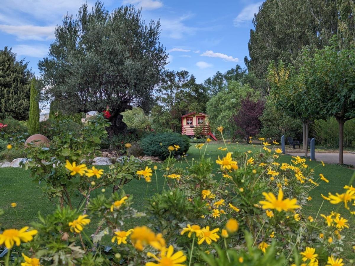 "Mas Tramontane "Chambres D'Hotes Et Studio Avec Piscine Dans Parc Arbore Ille-sur-Têt Exteriör bild