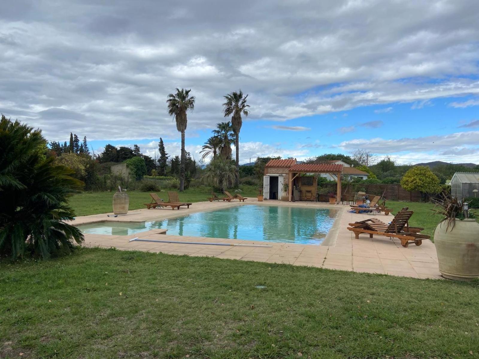 "Mas Tramontane "Chambres D'Hotes Et Studio Avec Piscine Dans Parc Arbore Ille-sur-Têt Exteriör bild